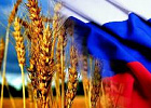 Татарстан хочет нарастить объем экспорта продукции АПК до $869 млн в год